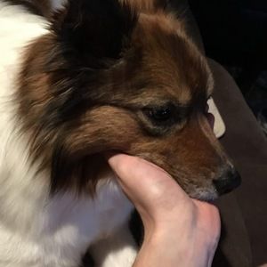 Meet your Posher, Ashlynn